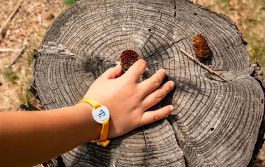 national geographic apparel, education, tree, environmental changes