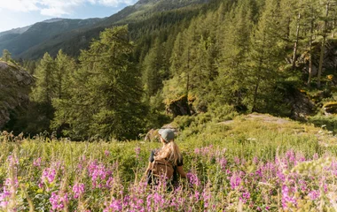 Franse Alpen: all-inclusive bergvakantie zomer