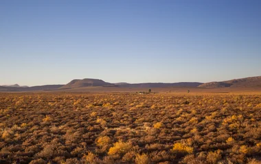 Grand Karoo et Matjiesfontein : l’âme sauvage d’Afrique australe