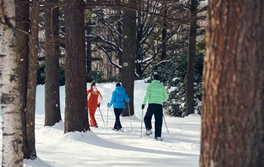 Randonneurs en raquette de neige