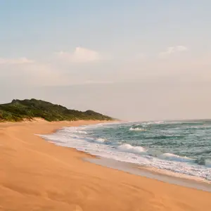 Safari e mare in Sudafrica: un viaggio tra natura, oceano e relax