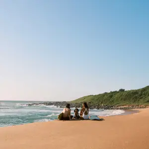 Voyage en Afrique du Sud en novembre : guide complet