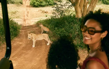 Exhilarating Safari