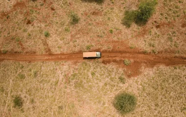 Safari en Afrique du Sud