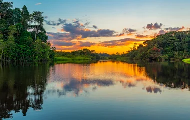 Amazonie au Brésil