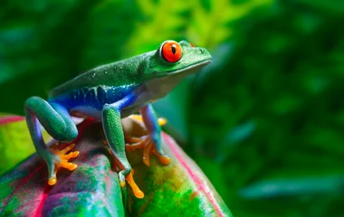 Costa Rica