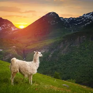 Le climat en Équateur