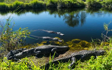 Floride Réserves