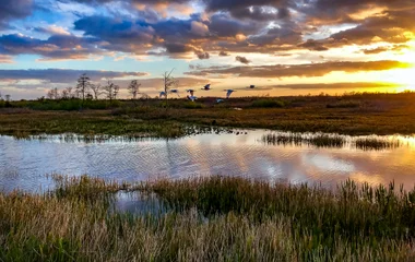 A la visite des Everglades en Floride