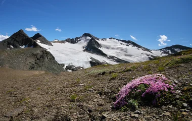 Parc de la Vanoise