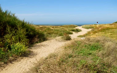 dune du Pilat