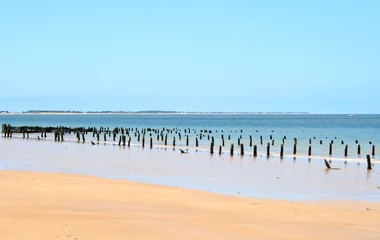 La Palmyre