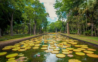 Garten Pamplemousses und Schloss Labourdonnais