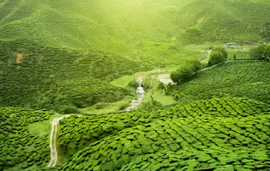 Inde