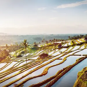 Meilleures destinations en Asie