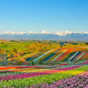 Où partir au Japon ?