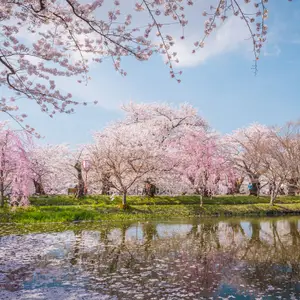 Jouer au golf au Japon