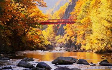 japon