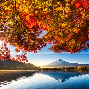 japon