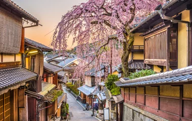printemps japon