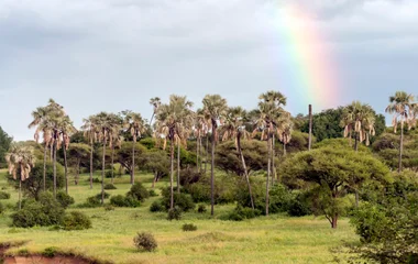 kenya