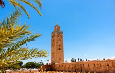 maroc paysage marrakech