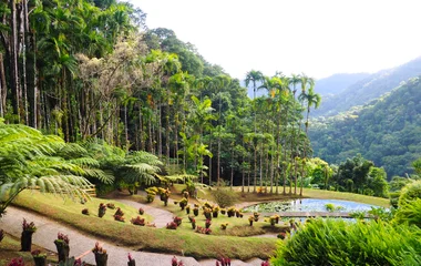 vakantie martinique