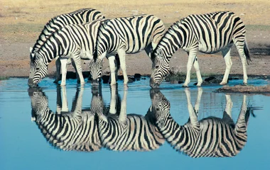 Namibie