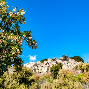 1 semaine en Corse