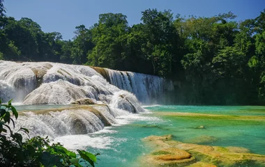 Jungle luxuriante et nature protégée