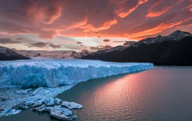argentine