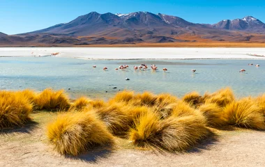 bolivie
