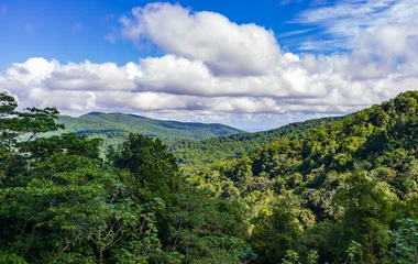 Un climat tropical avec deux saisons