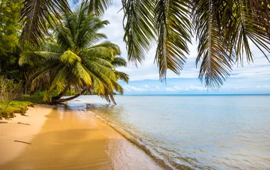 madagascar