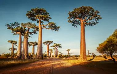 circuit dans l'océan indien madagascar