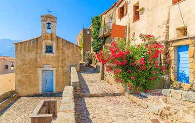 Calvi