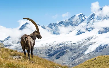 Parc national du Gran Paradiso