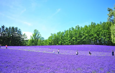 japon asie