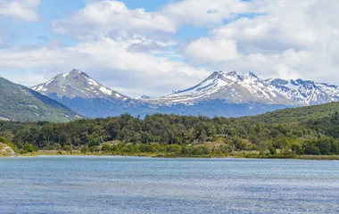 argentine