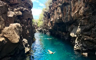 îles galapagos équateur
