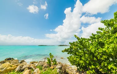 Guadeloupe