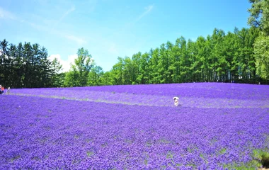 japon