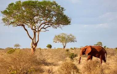 mombasa kenya