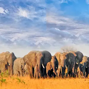 Combien de temps partir au Zimbabwe ?