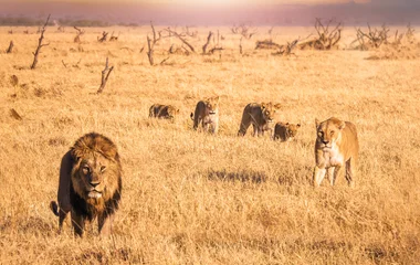 Botswana