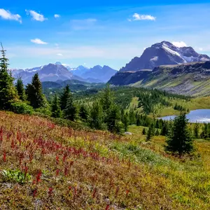 Que faire au Canada ?