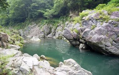 La Ceiba