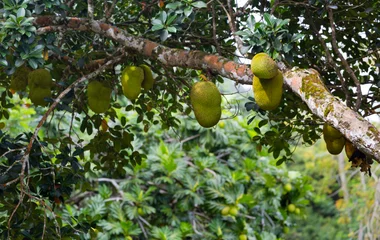 Seychelles : que faire pour partir à l’aventure