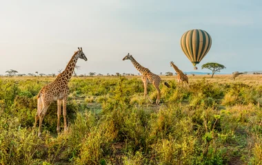 Tanzanie