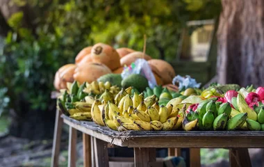 Gastronomie aux Seychelles : une ode à la diversité